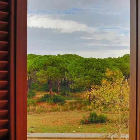 Precioso Apartamento A 700 M Del Mar Chiclana de la Frontera Bagian luar foto